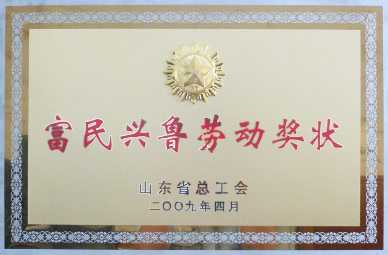 2009年   富民兴鲁劳动奖状